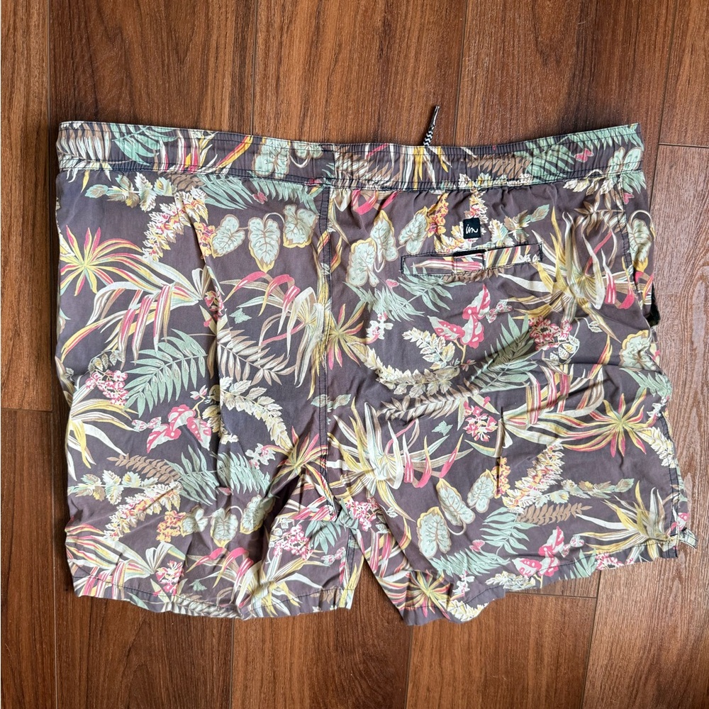 Imperial Motion Print Men's Swimsuit